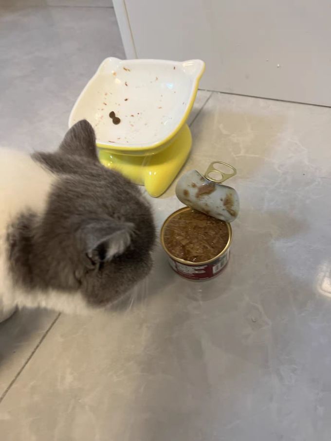 珍致猫咪湿粮/罐头