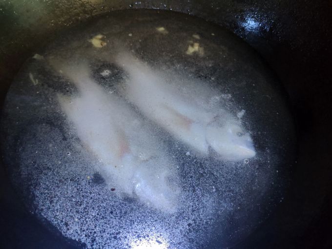 海上号鱼类