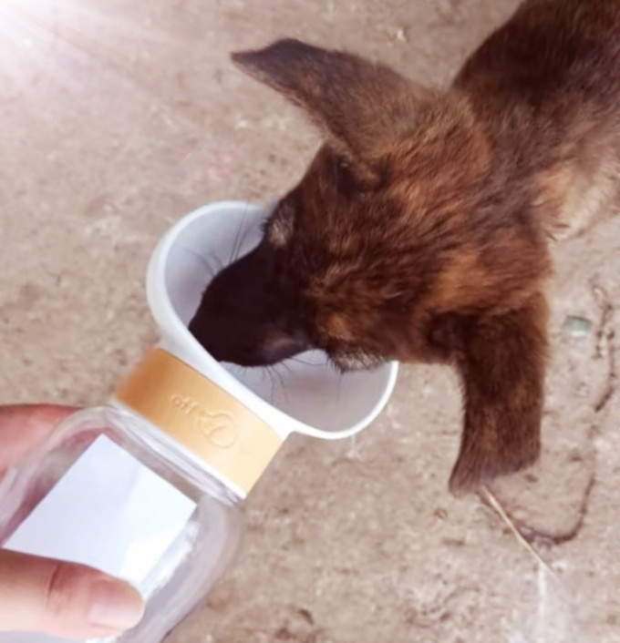 贞喜气宠物食具水具