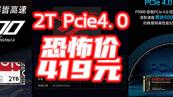 国产疯了吧？2TB+PCIe 4.0卖419没看错?！盘点近期国产固态好价格【好价清单】