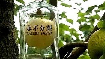 五粮液“永不分梨”酒，梨子要比酒瓶大，是怎么整个装进去的呢？