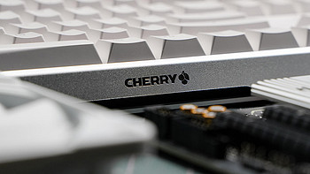 全球限量并不是唯一亮点 CHERRY MX3.0S Scout签名选手版开箱