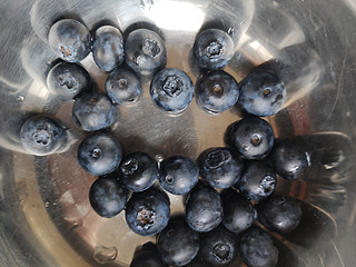带点水果去野餐-蓝莓