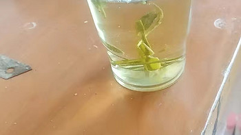 龙井绿茶，大自然中的天然茶叶