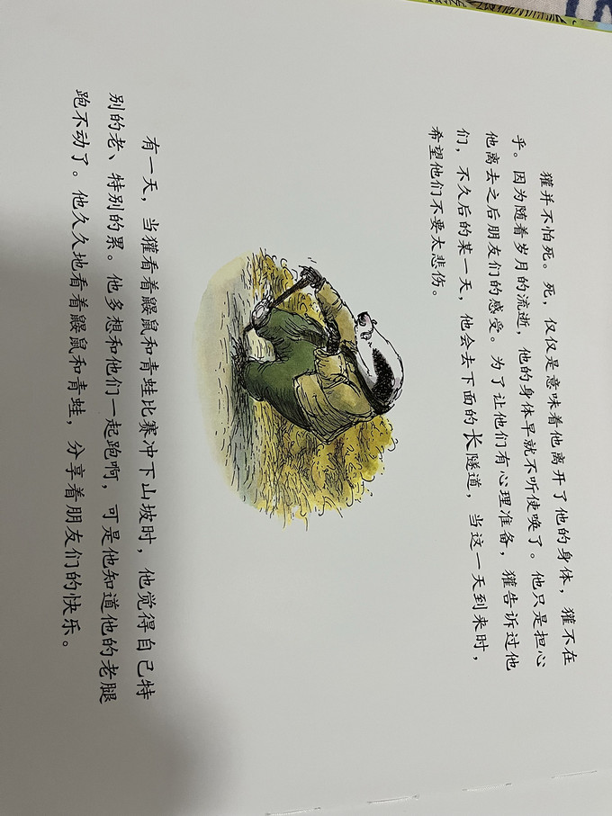 绘本/图画书