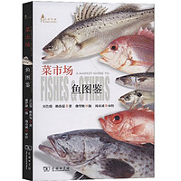 探秘菜市场中的鱼类世界——《菜市场鱼图鉴》