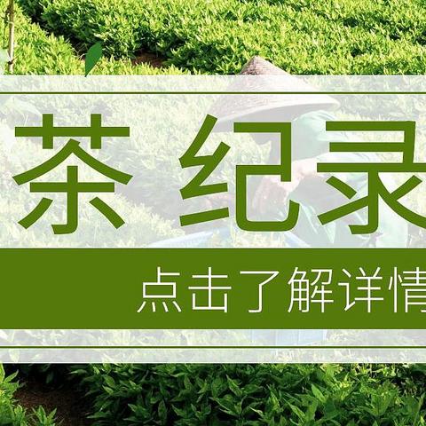 我在网上学品茶之和茶有关的优秀纪录片