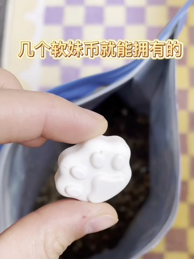 平价养猫好物第一期|省钱铲屎官必看