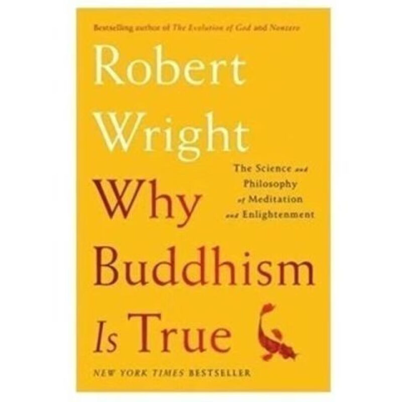 一本介绍西方佛学（不是佛教）的书《为什么佛学是真的》