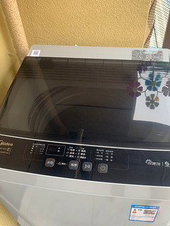 美的波轮洗衣机8公斤型号MD80ECODH 