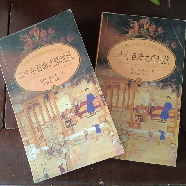 二十年目睹之怪现状，一百年前的小说