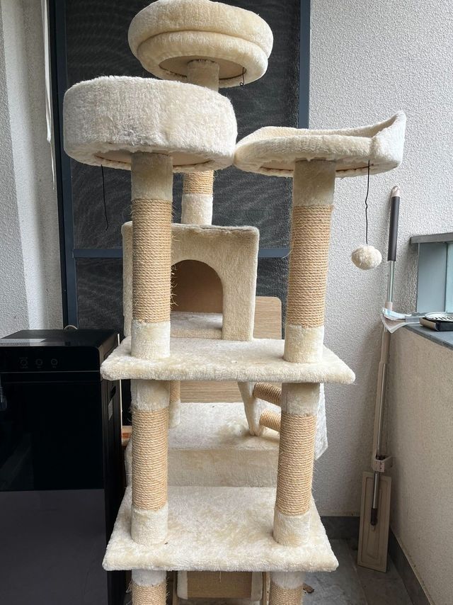 家里有猫，少不了猫爬架