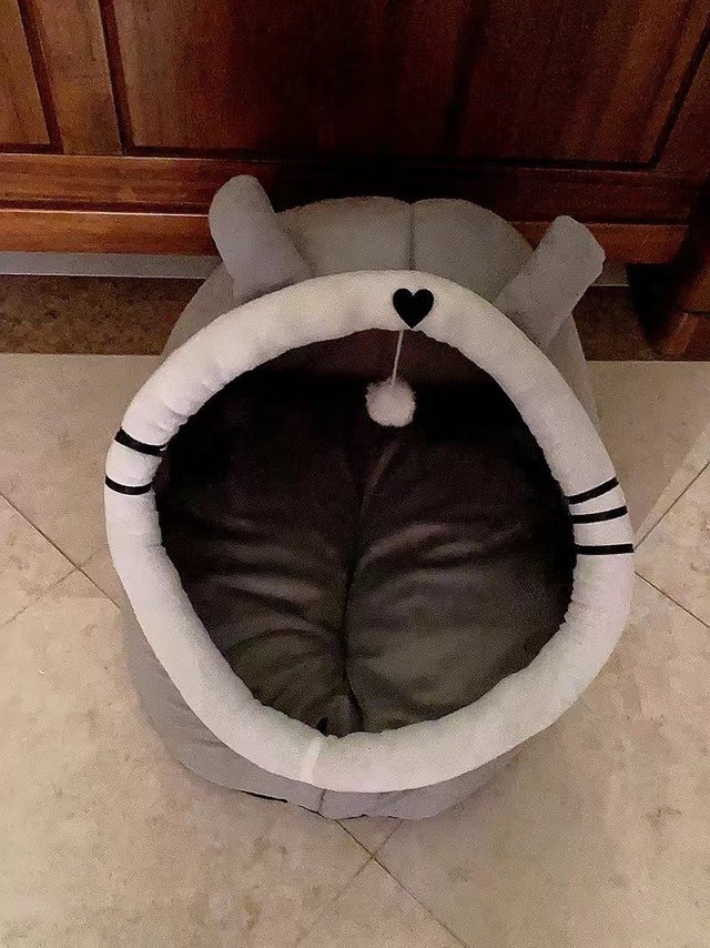 很好的猫窝一定要买个哦！