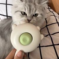养猫必备梳毛刷
