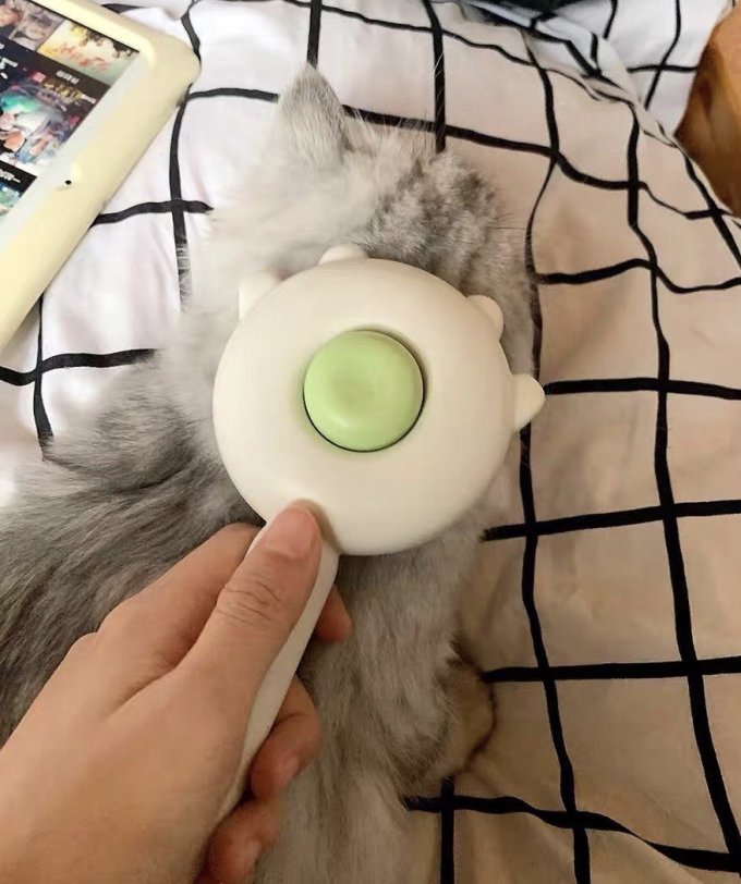 艾蜗宠物美容工具