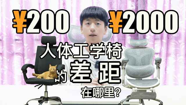 200与2000的人体工学椅差距在哪里？