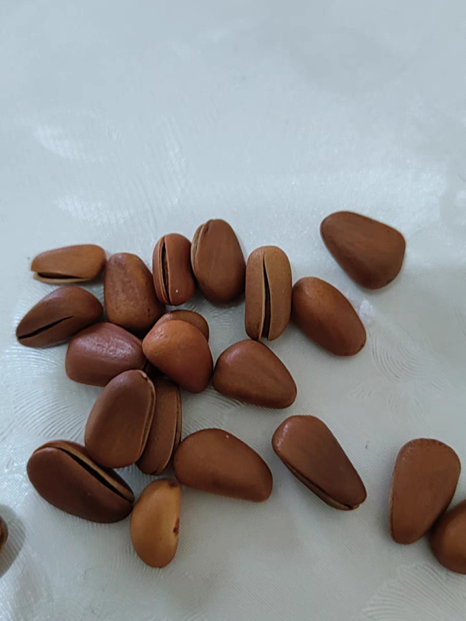 甄果人坚果炒货