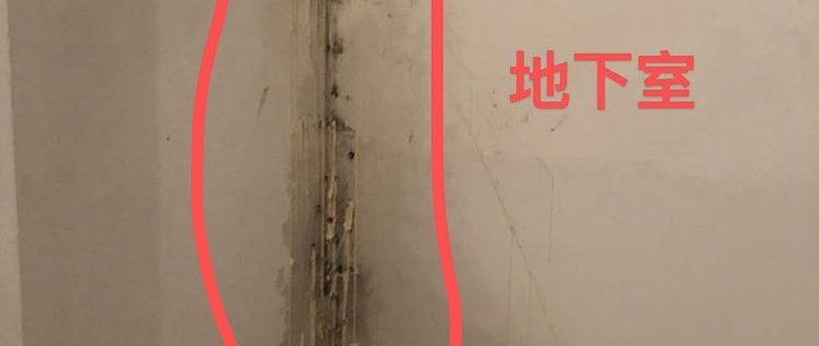 查漏日报：背水一战才是地下室堵漏正确方法。