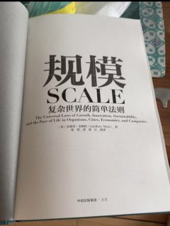 规模法则：让复杂的世界简单化
