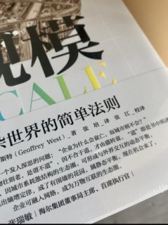 规模法则：让复杂的世界简单化