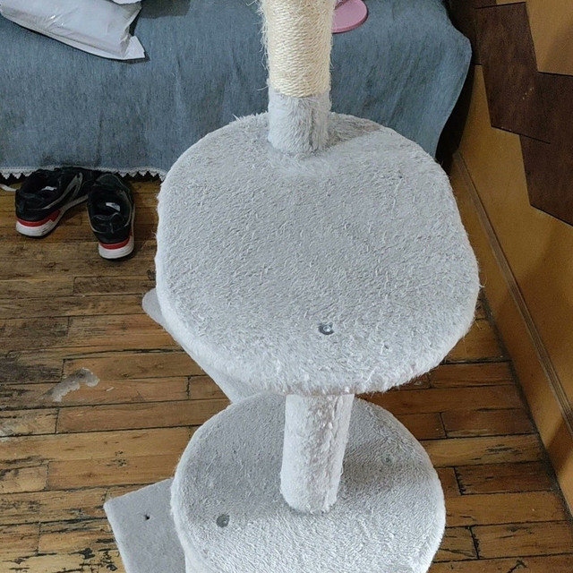 给猫主子买个猫爬架吧。