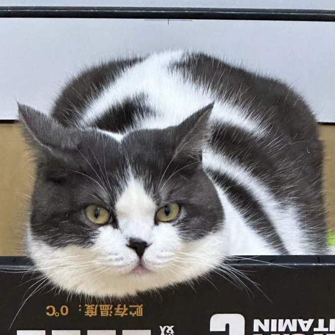 多可特猫狗窝