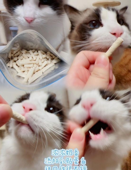 效果非常不错的宠物零食