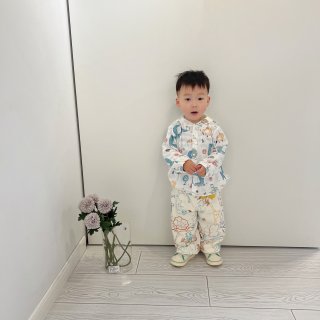 泰兰尼斯211真的不错