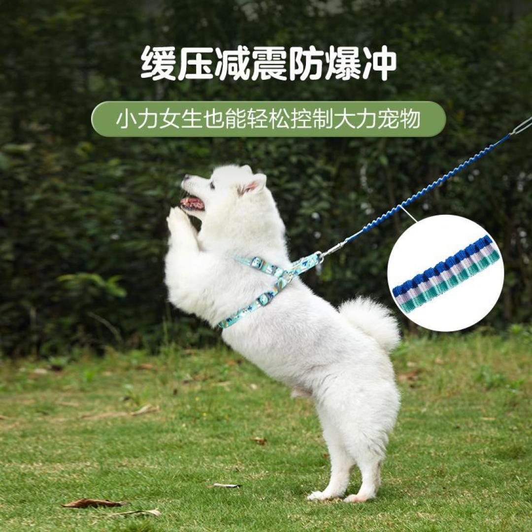 网易严选那些比较有趣的宠物用品