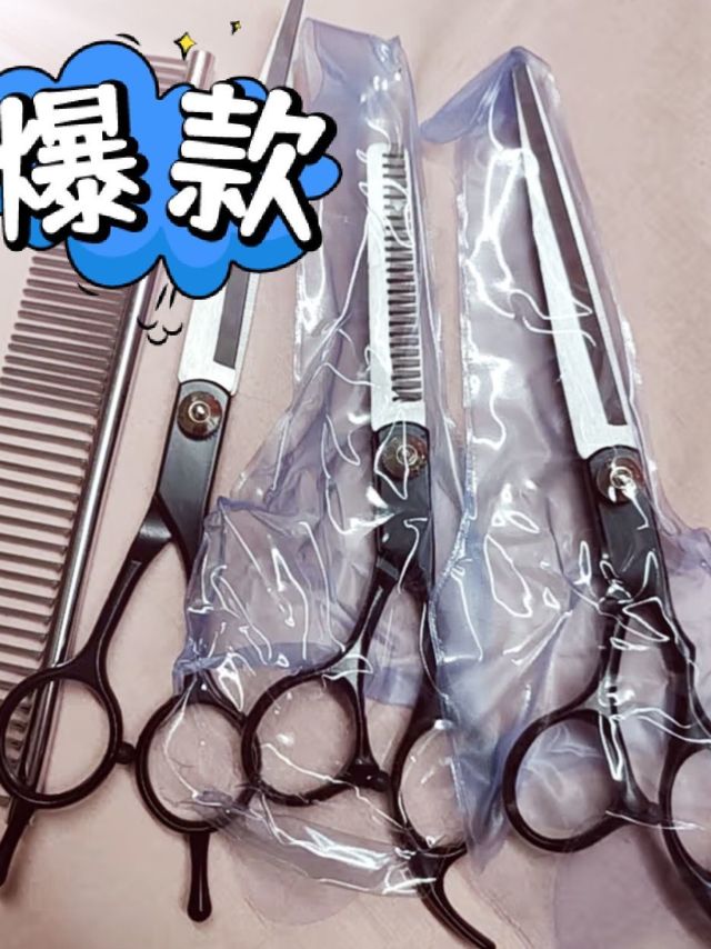 当狗子的托尼老师