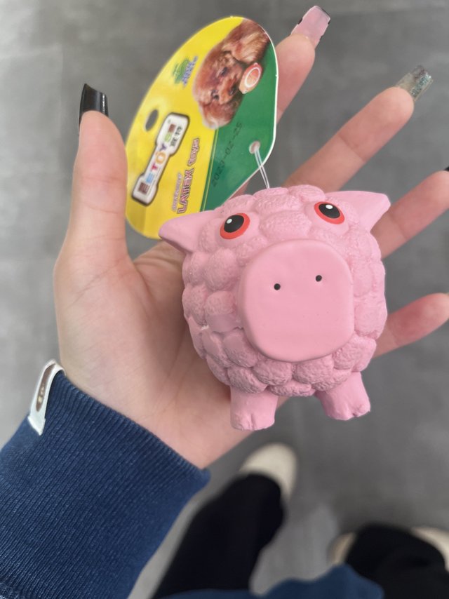 养宠好物推荐.狗狗玩具