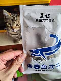 猫主子吃上冻干多春鱼