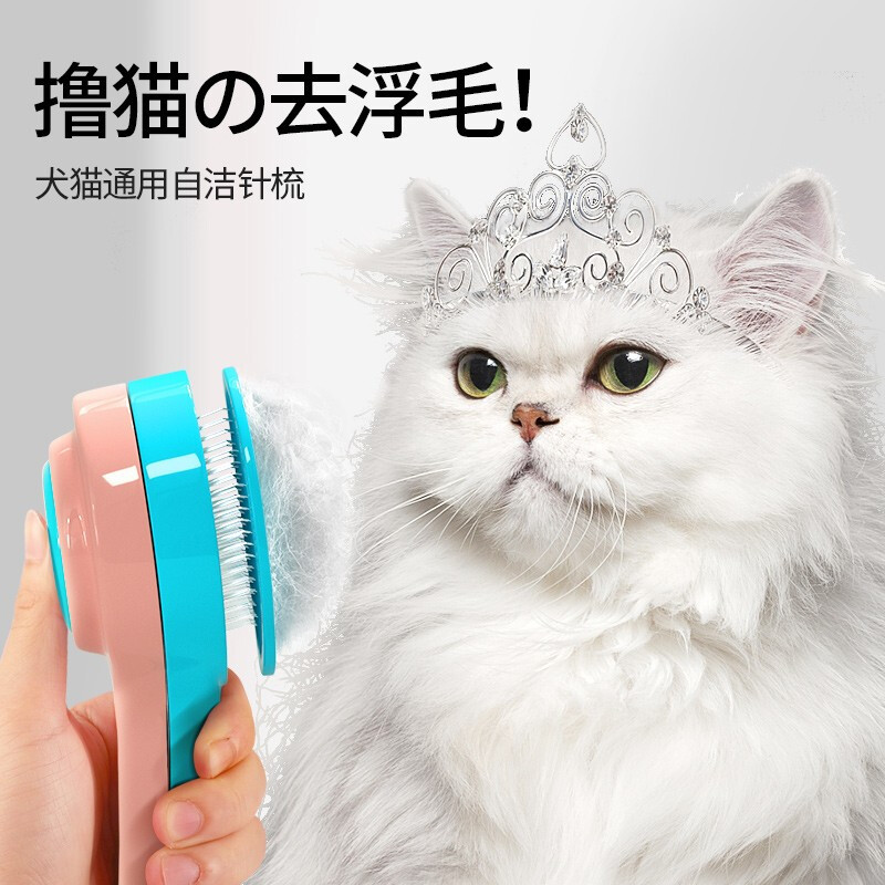 惊！这款梳子让猫咪毛发变得更加柔顺亮丽，主人们都惊呆了！