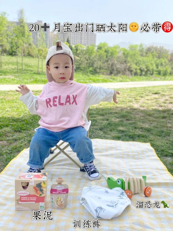 伴宝乐婴儿辅食