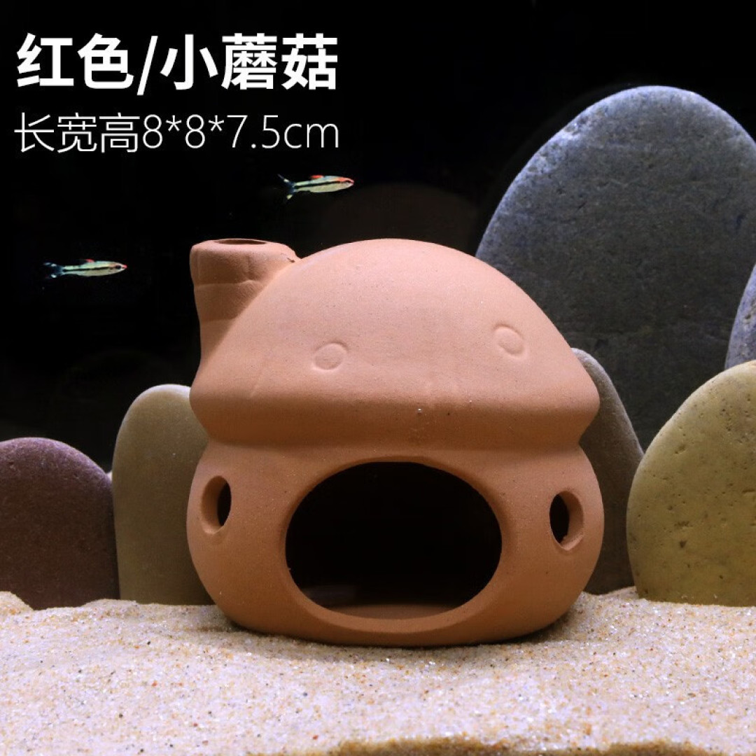 倒着游泳的鱼你养过吗?倒游鲶,这种鱼好看好玩还不难养