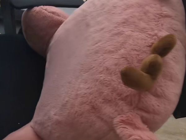 柔软舒适的靠垫