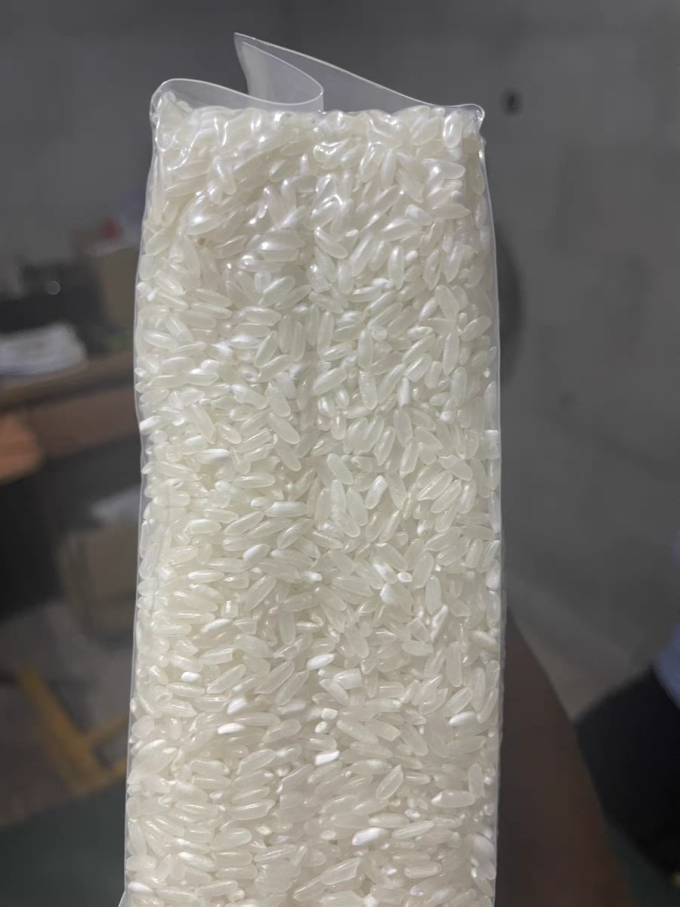 十月稻田大米