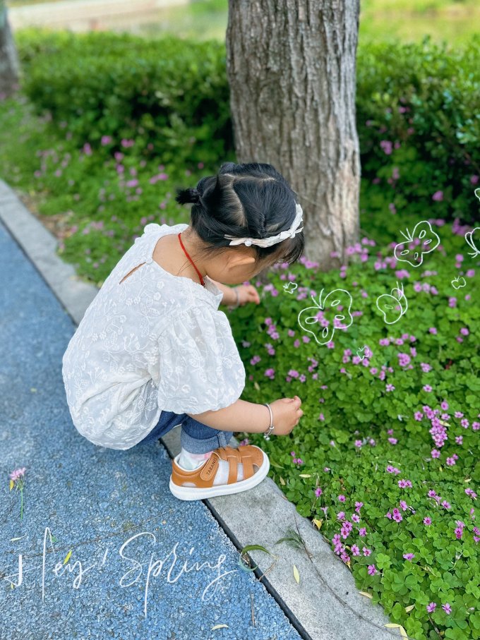 泰兰尼斯童鞋