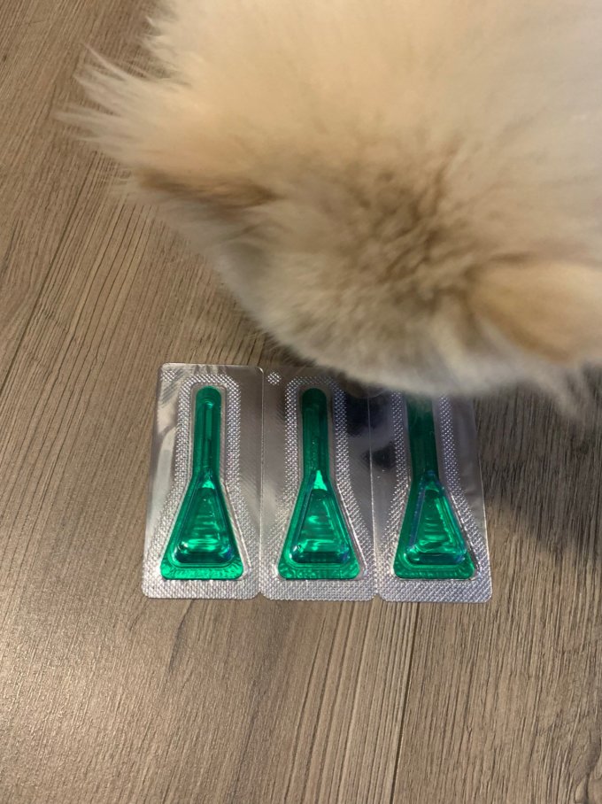 恩倍多猫咪驱虫