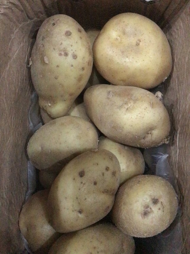 土豆挺好的啊，到货还没有损坏