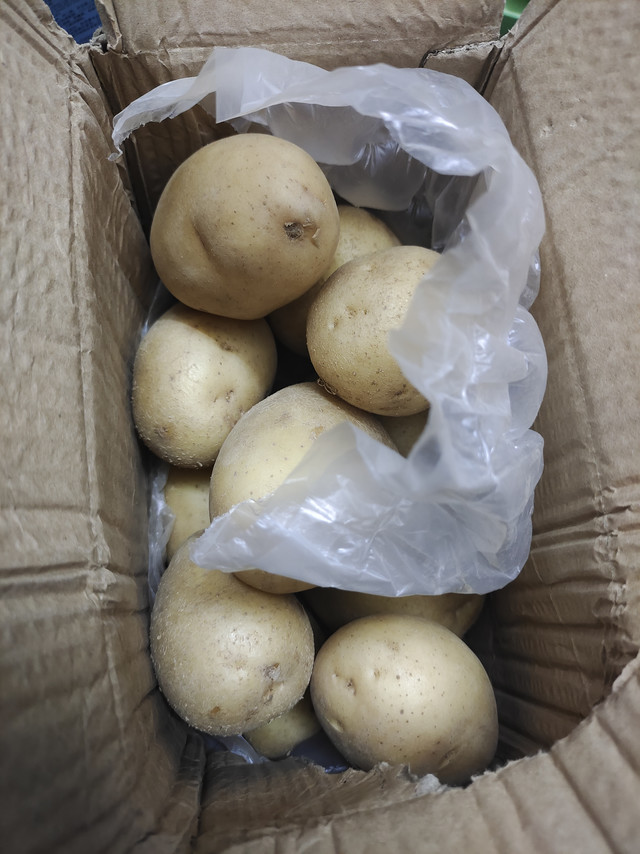 土豆收到，挺不错的，漂亮👍