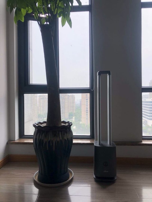 物流速度很快!到货迅速而且安全无损,特别