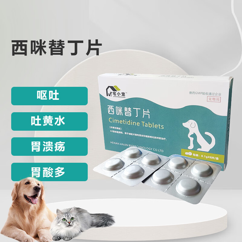 新手养猫技巧，这几件必备物品，值得收藏哦！