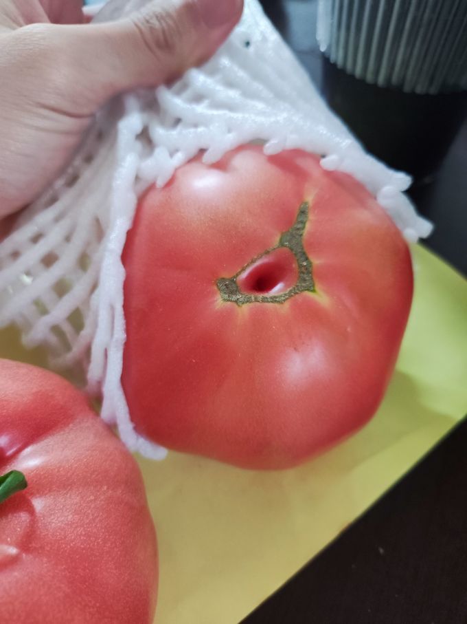 千园九味蔬菜