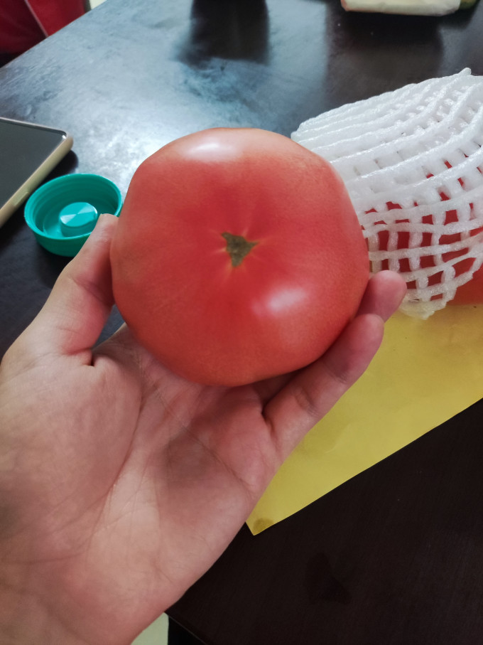 千园九味蔬菜