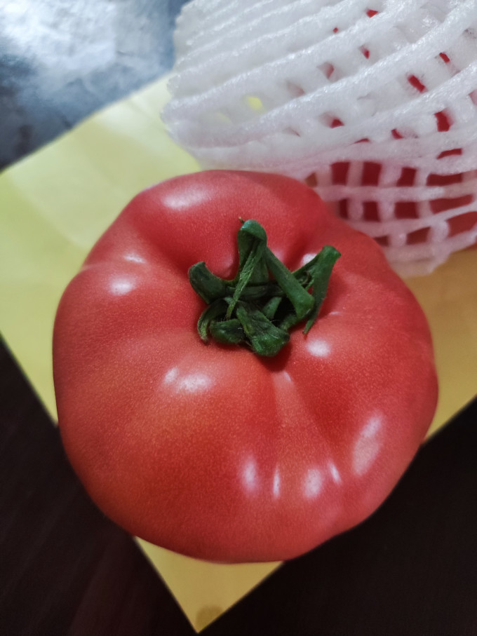 千园九味蔬菜