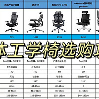 人体工学椅选购攻略：人体工学椅是智商税吗？不同体型的人该如何选择人体工学椅？预算1000元左右、2000元左右以及3000元左右人体工学椅推荐