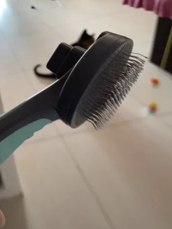 宠物美容工具