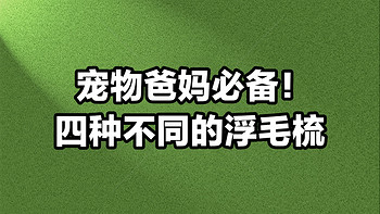 菜鸟裹裹 篇二十八：​宠物爸妈必备！四种不同的浮毛梳，让你的爱宠纤巧亮眼！