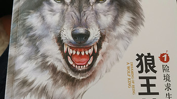 生活记录 篇五十一：推荐一款适合小学生阅读的书籍《狼王梦》